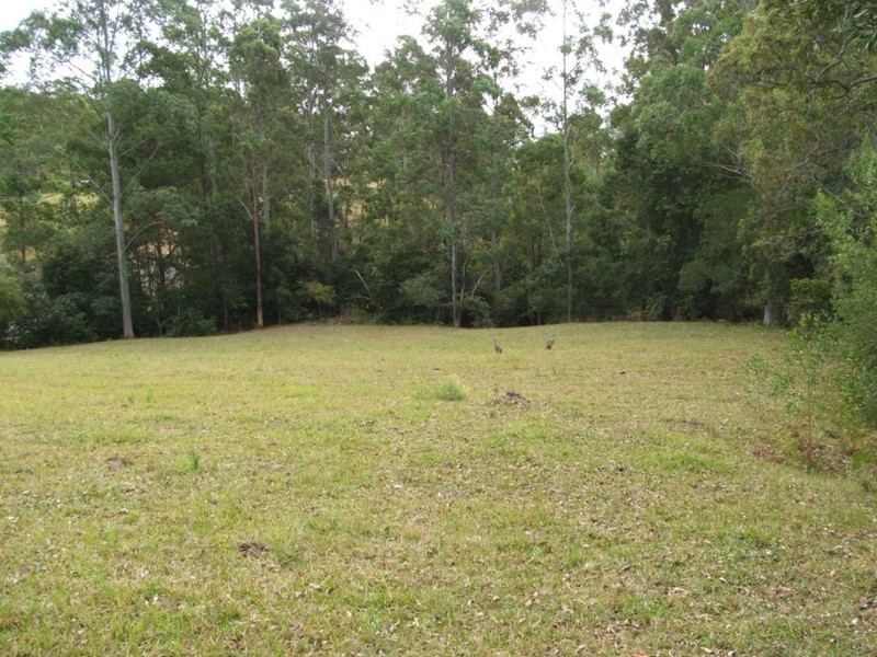 58 Lot 32 Allgomera, Eungai Creek NSW 2441