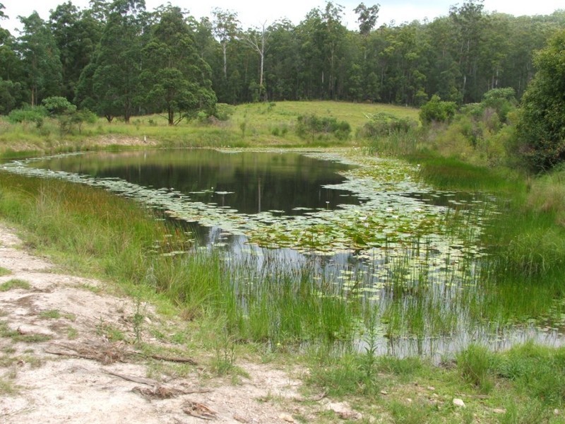 196 Wards Road, Utungun NSW 2447