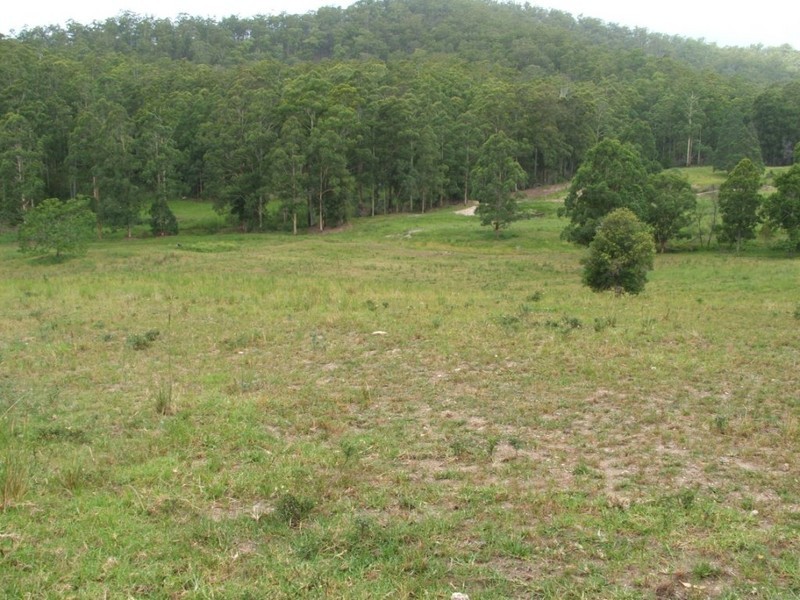 196 Wards Road, Utungun NSW 2447