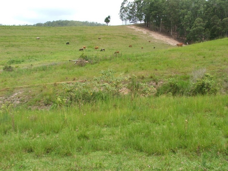 196 Wards Road, Utungun NSW 2447