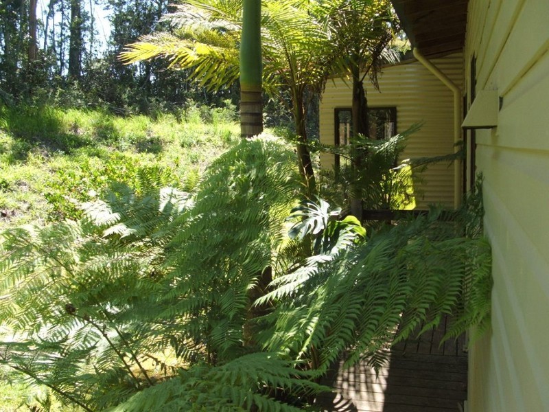 412 Browns Crossing Road, Eungai Creek NSW 2441