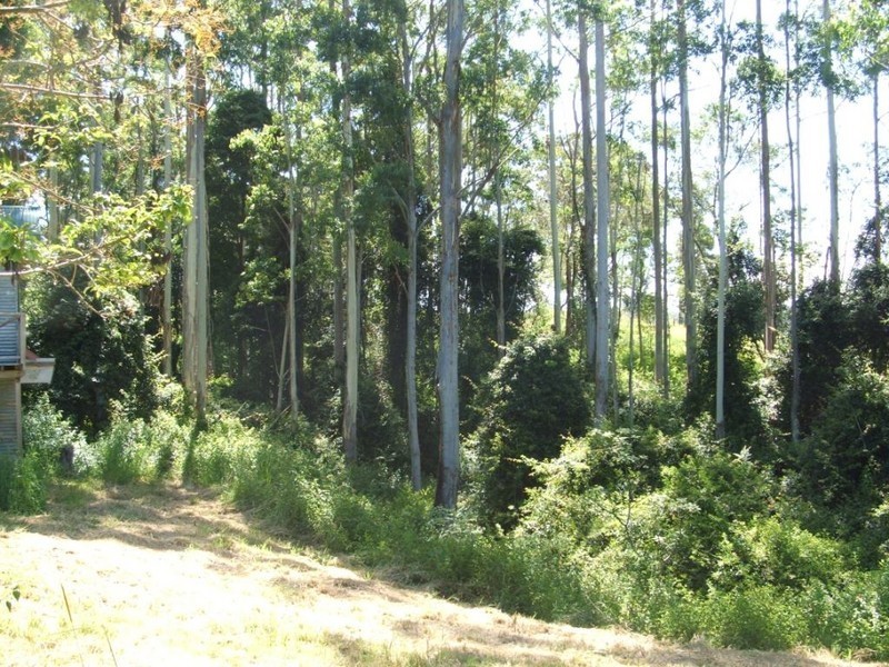 412 Browns Crossing Road, Eungai Creek NSW 2441