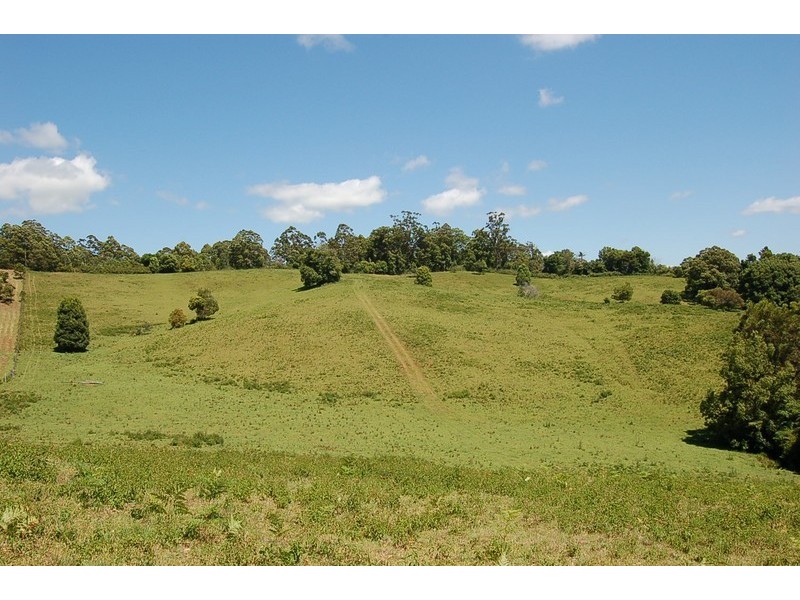 Lot 23 Newee Creek Road, Newee Creek NSW 2447