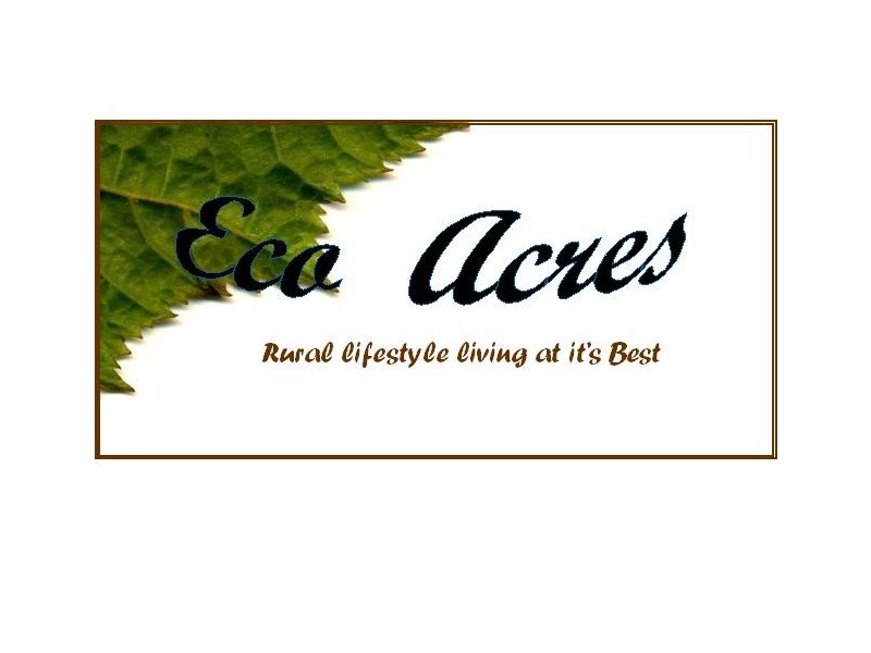 Lot 23 Newee Creek Road, Newee Creek NSW 2447