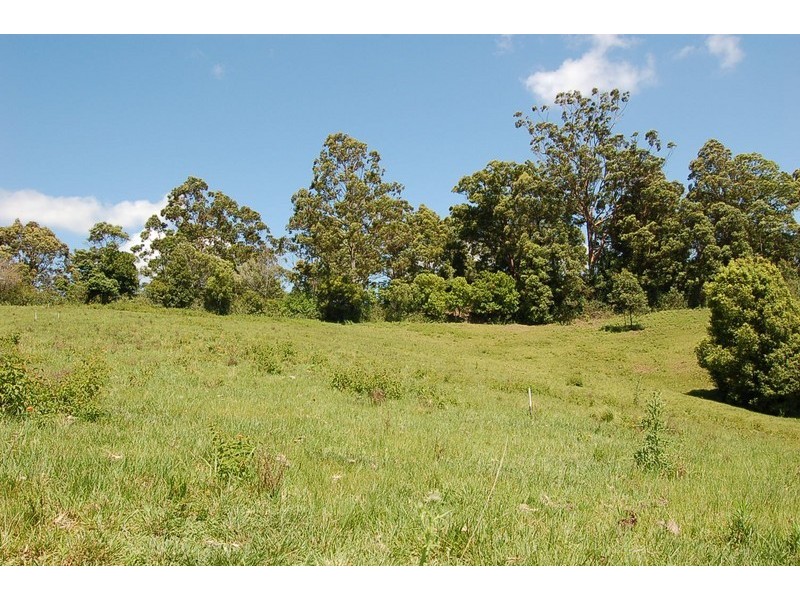Lot 23 Newee Creek Road, Newee Creek NSW 2447