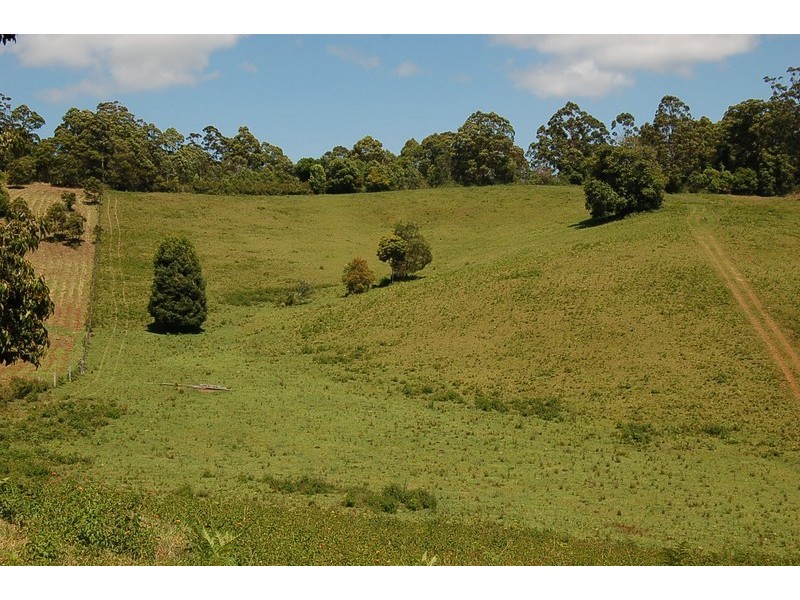 Lot 23 Newee Creek Road, Newee Creek NSW 2447