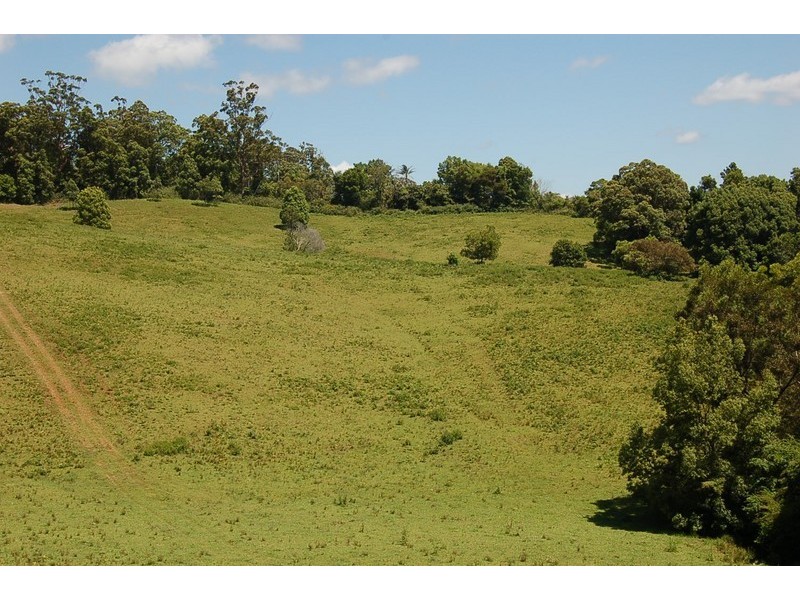 Lot 23 Newee Creek Road, Newee Creek NSW 2447