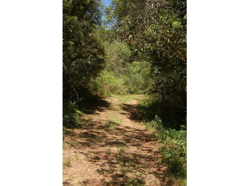 Lot 23 Newee Creek Road, Newee Creek NSW 2447