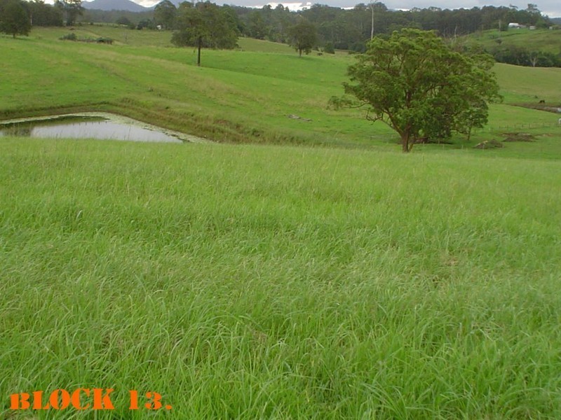 4 Lots Strawberry Road, Macksville NSW 2447