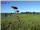 4 Lots Strawberry Road, Macksville NSW 2447