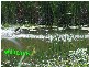 4 Lots Strawberry Road, Macksville NSW 2447