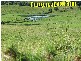 4 Lots Strawberry Road, Macksville NSW 2447