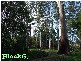 4 Lots Strawberry Road, Macksville NSW 2447