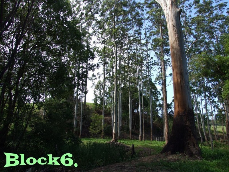 4 Lots Strawberry Road, Macksville NSW 2447