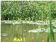 4 Lots Strawberry Road, Macksville NSW 2447