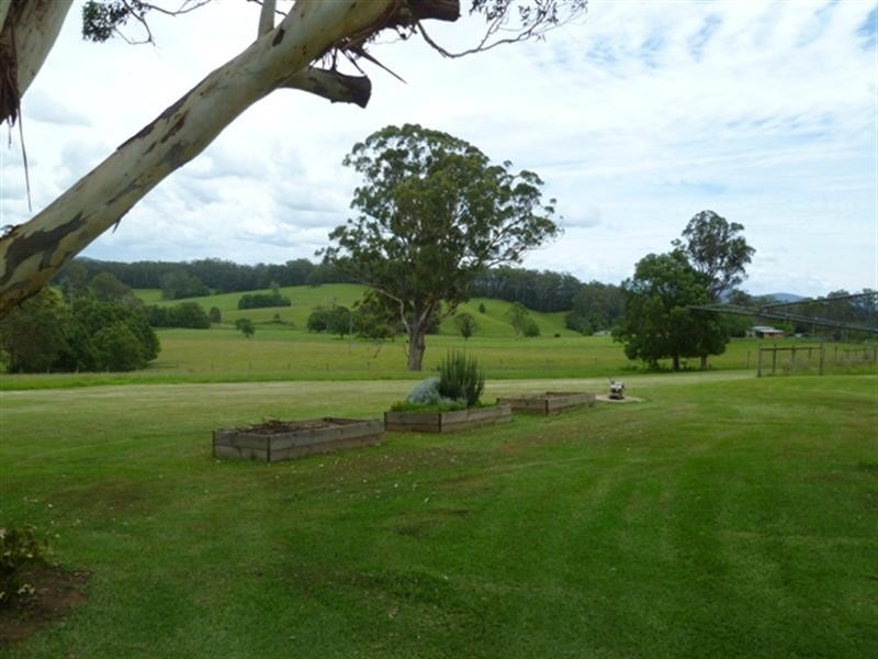 222 Upper Warrell Creek Road, Macksville NSW 2447