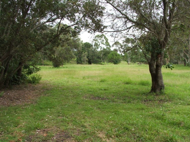 923 Scotts Head Road, Scotts Head NSW 2447