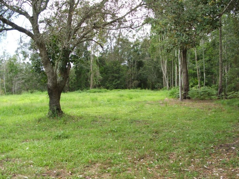 923 Scotts Head Road, Scotts Head NSW 2447