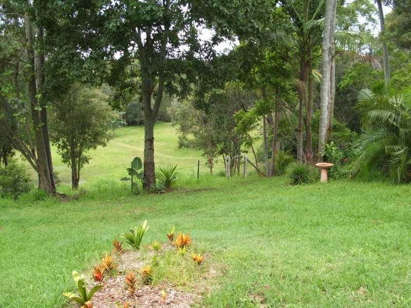 923 Scotts Head Road, Scotts Head NSW 2447