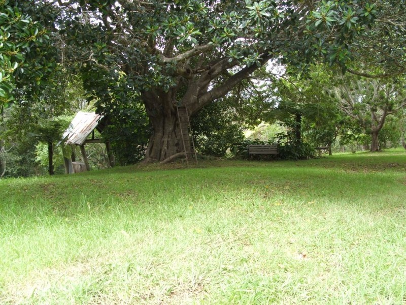 923 Scotts Head Road, Scotts Head NSW 2447