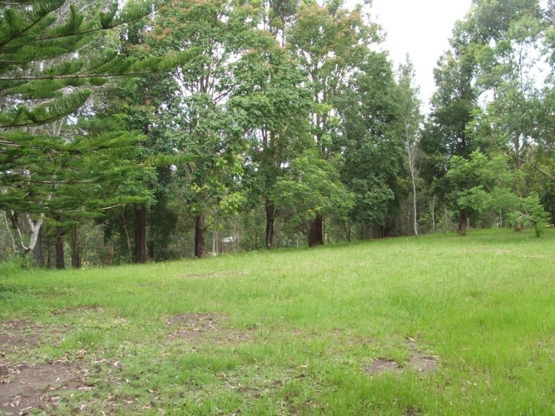 923 Scotts Head Road, Scotts Head NSW 2447