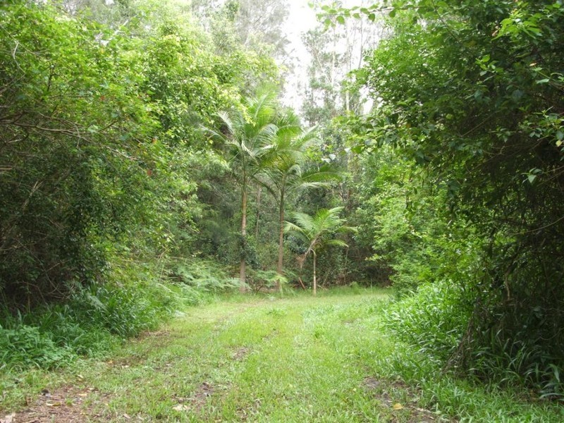 923 Scotts Head Road, Scotts Head NSW 2447