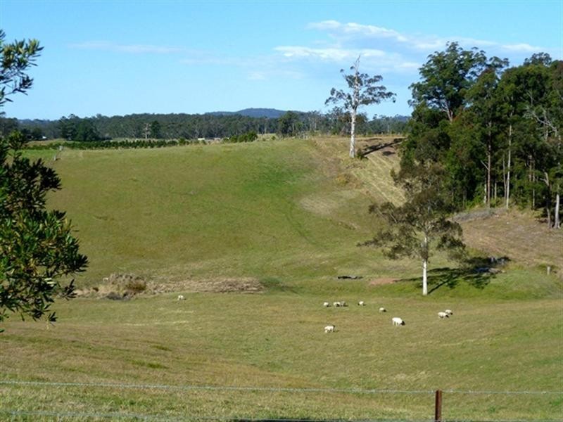 244 Talarm Road, Talarm NSW 2447