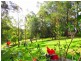 17 Ridgewood Drive, Raleigh NSW 2454