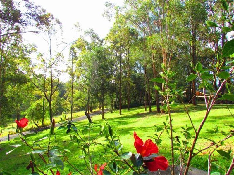 17 Ridgewood Drive, Raleigh NSW 2454