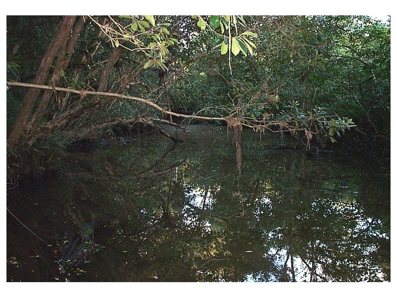 651 Allgomera Road, Eungai Creek NSW 2441