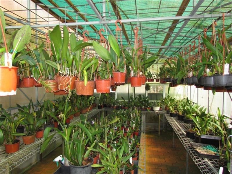 36 Salamanda Parade, Nambucca Heads NSW 2448