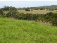 Lot 23 Allgomera Creek Road, Eungai Creek NSW 2441