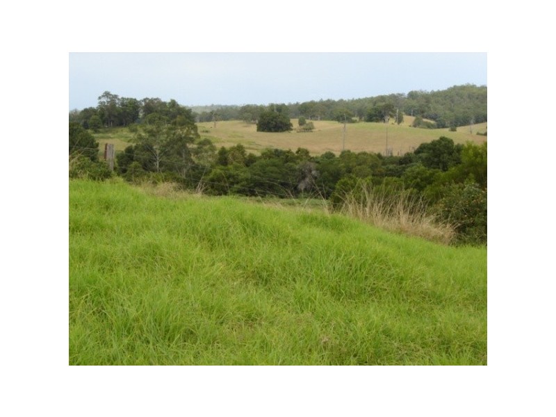 Lot 23 Allgomera Creek Road, Eungai Creek NSW 2441