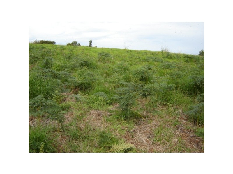 Lot 23 Allgomera Creek Road, Eungai Creek NSW 2441