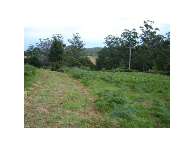 Lot 23 Allgomera Creek Road, Eungai Creek NSW 2441