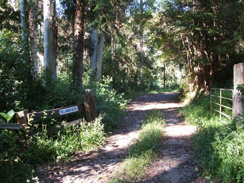 3546 North Arm Road, Bowraville NSW 2449