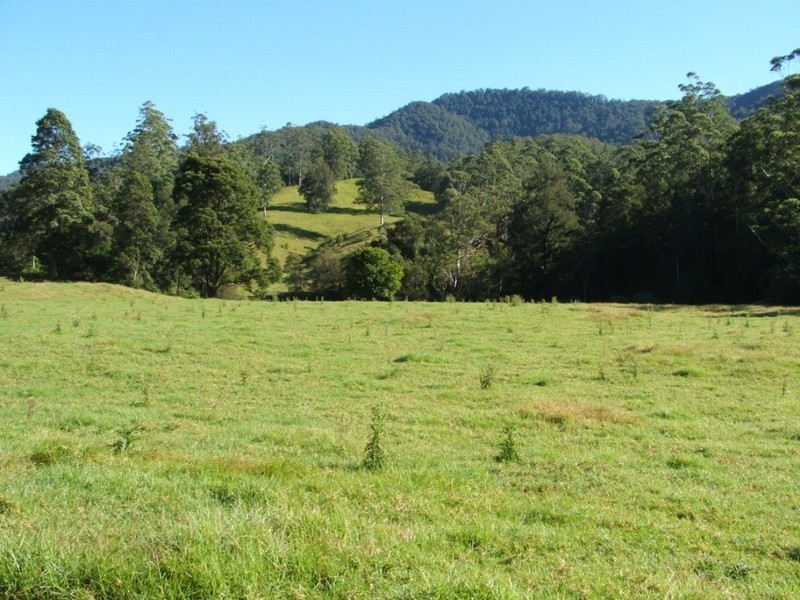 3546 North Arm Road, Bowraville NSW 2449