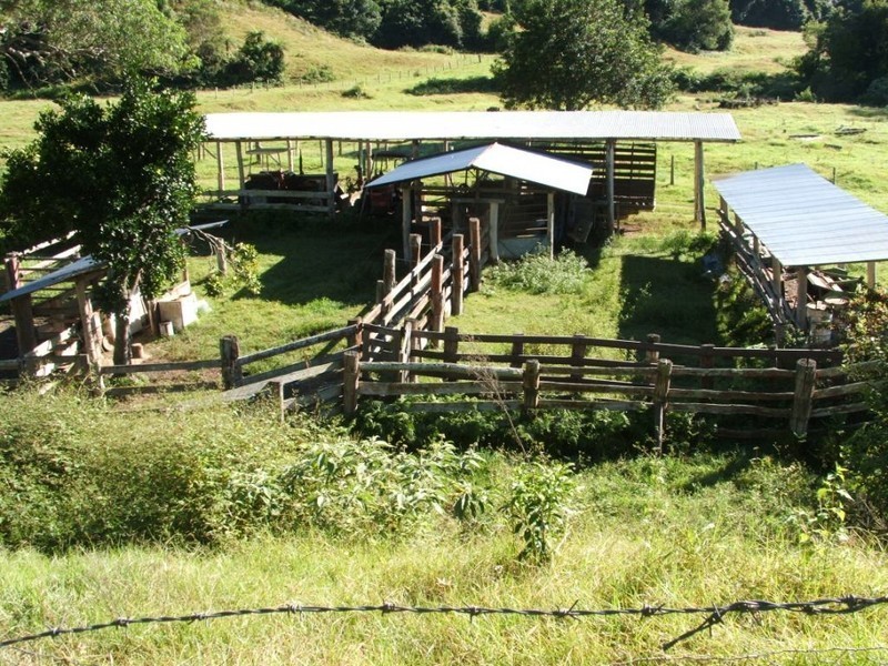 3546 North Arm Road, Bowraville NSW 2449