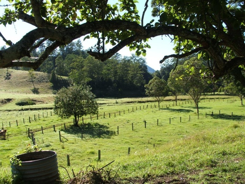 3546 North Arm Road, Bowraville NSW 2449