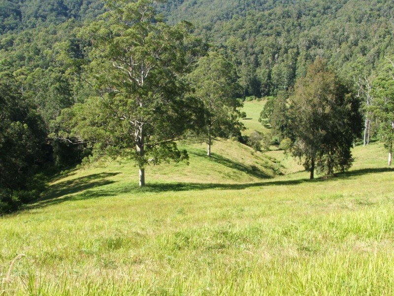 3546 North Arm Road, Bowraville NSW 2449