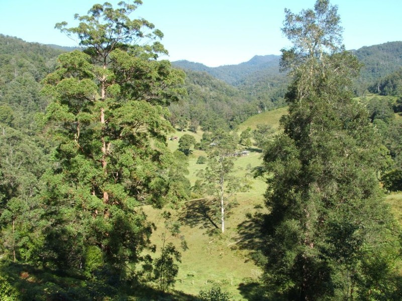 3546 North Arm Road, Bowraville NSW 2449