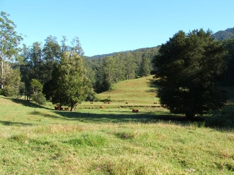 3546 North Arm Road, Bowraville NSW 2449