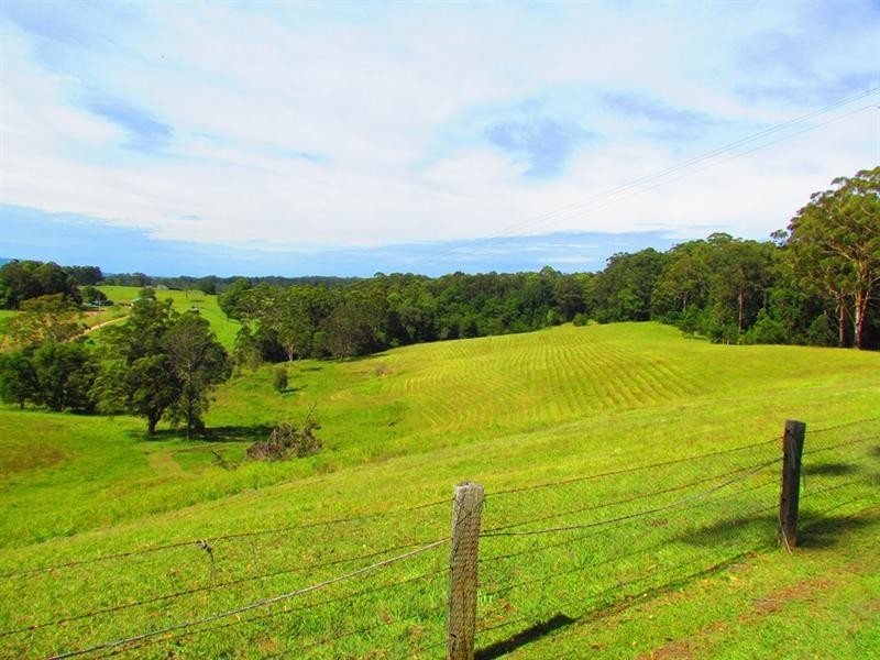 Lot 4 Gordons Knob Road, Newee Creek NSW 2447