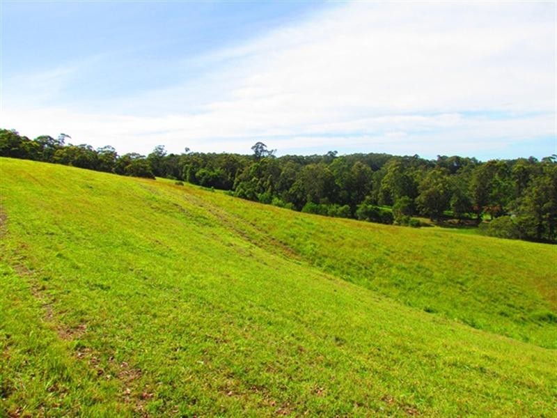 Lot 4 Gordons Knob Road, Newee Creek NSW 2447