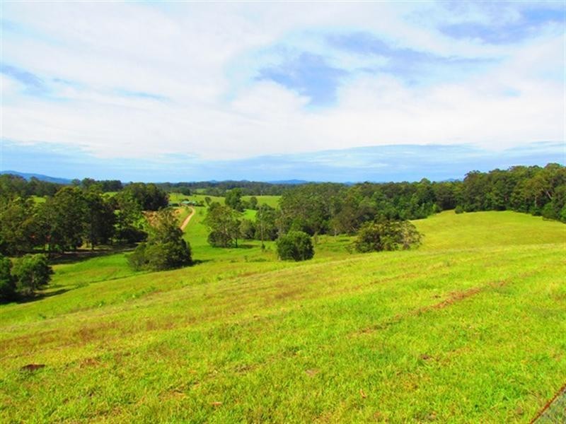Lot 4 Gordons Knob Road, Newee Creek NSW 2447