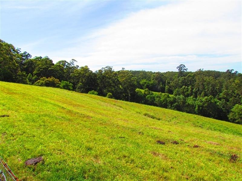 Lot 4 Gordons Knob Road, Newee Creek NSW 2447