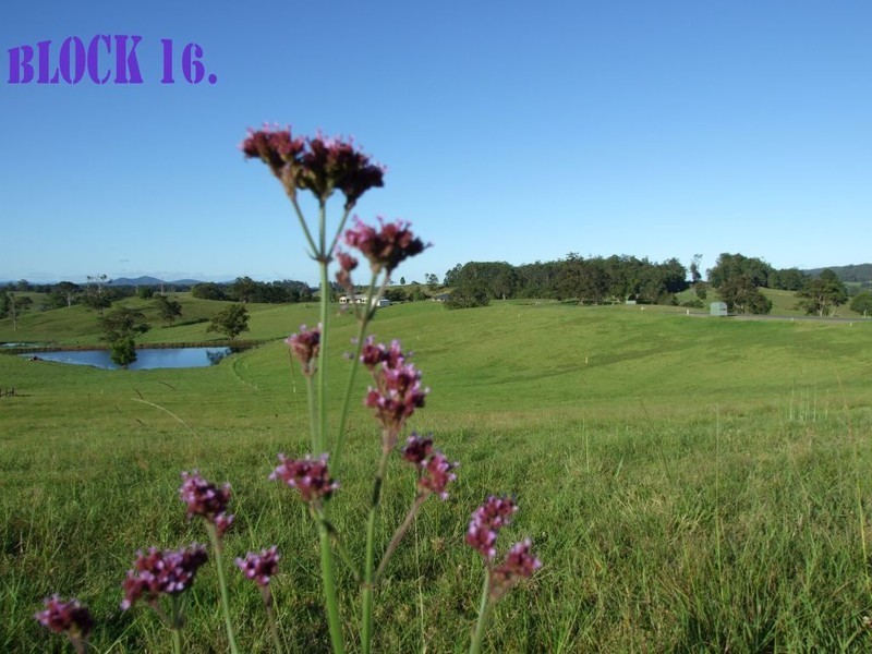 Lot 16 Strawberry Road, Macksville NSW 2447