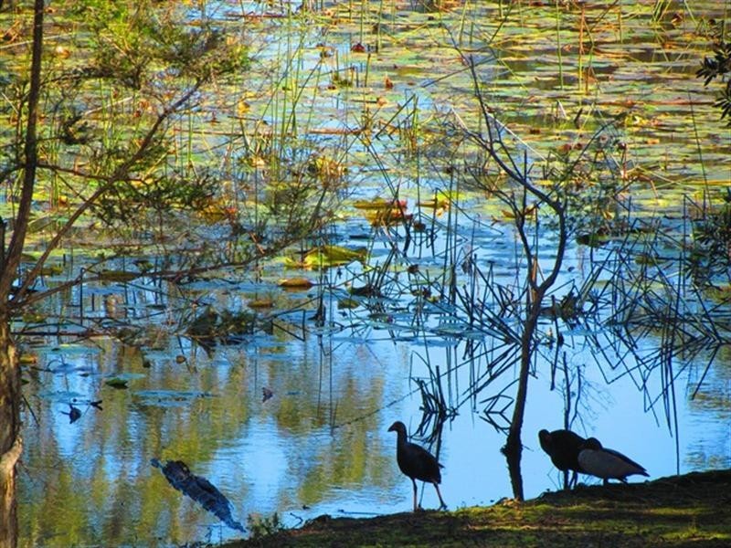 193 Florence Wilmont Drive, Nambucca Heads NSW 2448