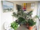 Nambucca Heads NSW 2448