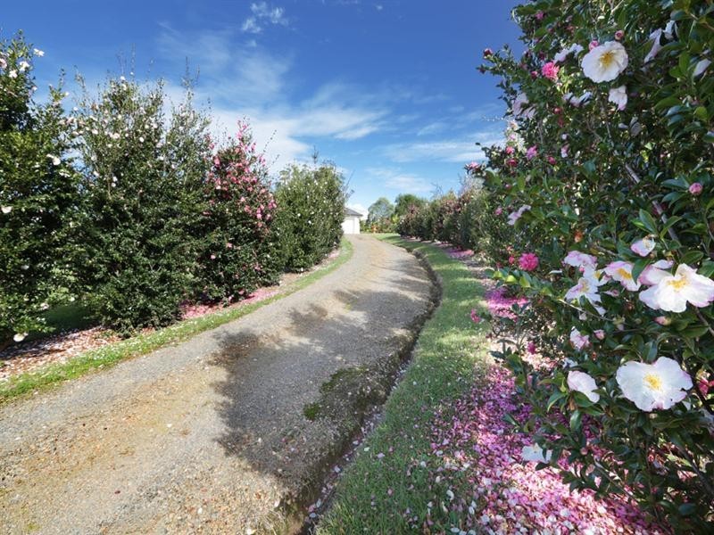 4 Wallaby Drive, Gumma NSW 2447